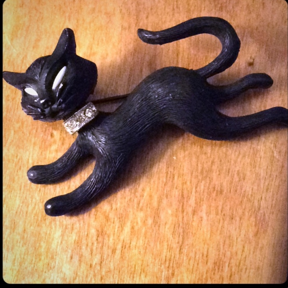 Black cat